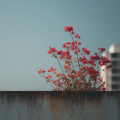 0763_resist_1