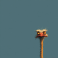 0806_kazi_1