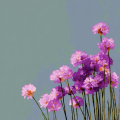 0820_kazi_15