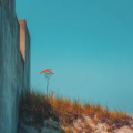 0765_resist_3